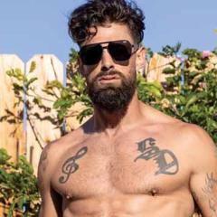 Alpha Wolfe
