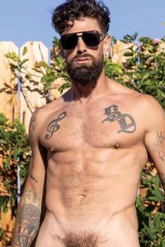 Alpha Wolfe