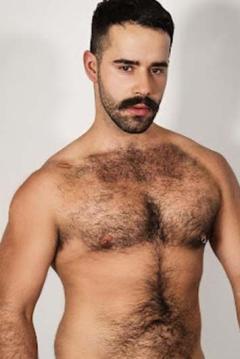 Teddy Torres