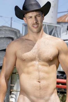 Arno Antino