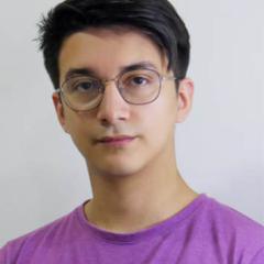 Vicco Landi