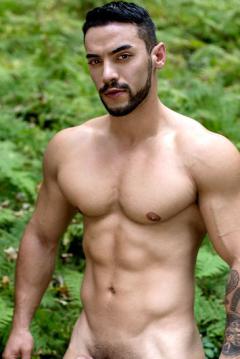 Arad WinWin